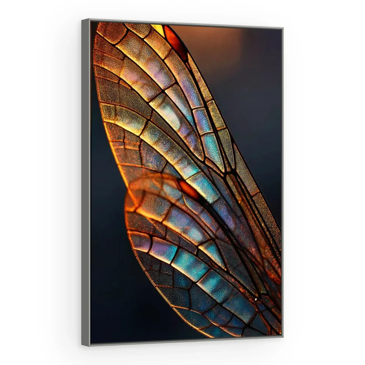 Quadro Decorativo Canvas Libélula Iridescente - AN0025