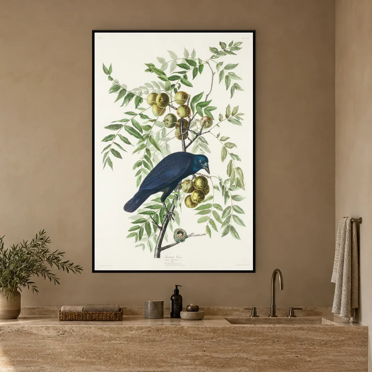 Quadro Decorativo Canvas Graúna Botânica - AV0002