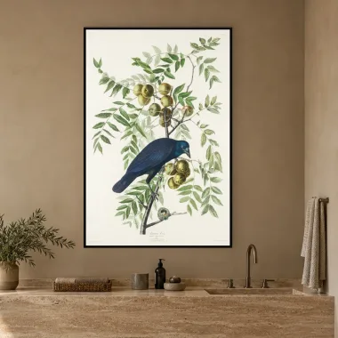 Quadro Decorativo Canvas Graúna Botânica - AV0002
