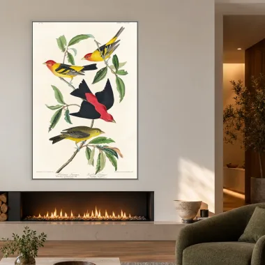 Quadro Decorativo Canvas Sanhaços Vintage - AV0004