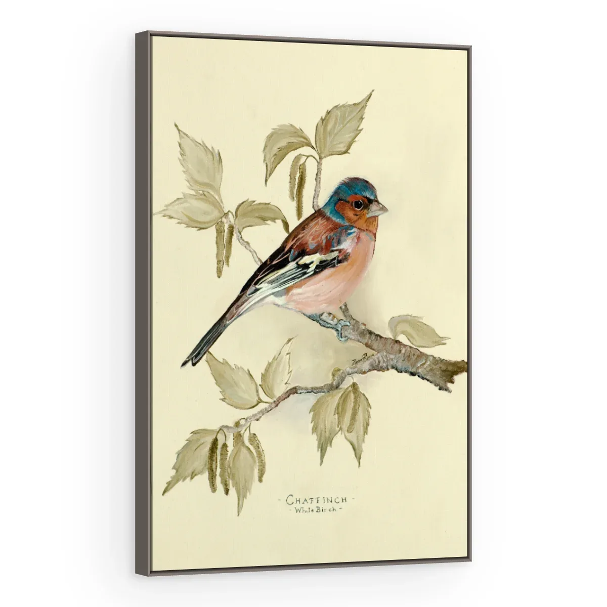 Quadro Decorativo Canvas Tentilhão Clássico - AV0007