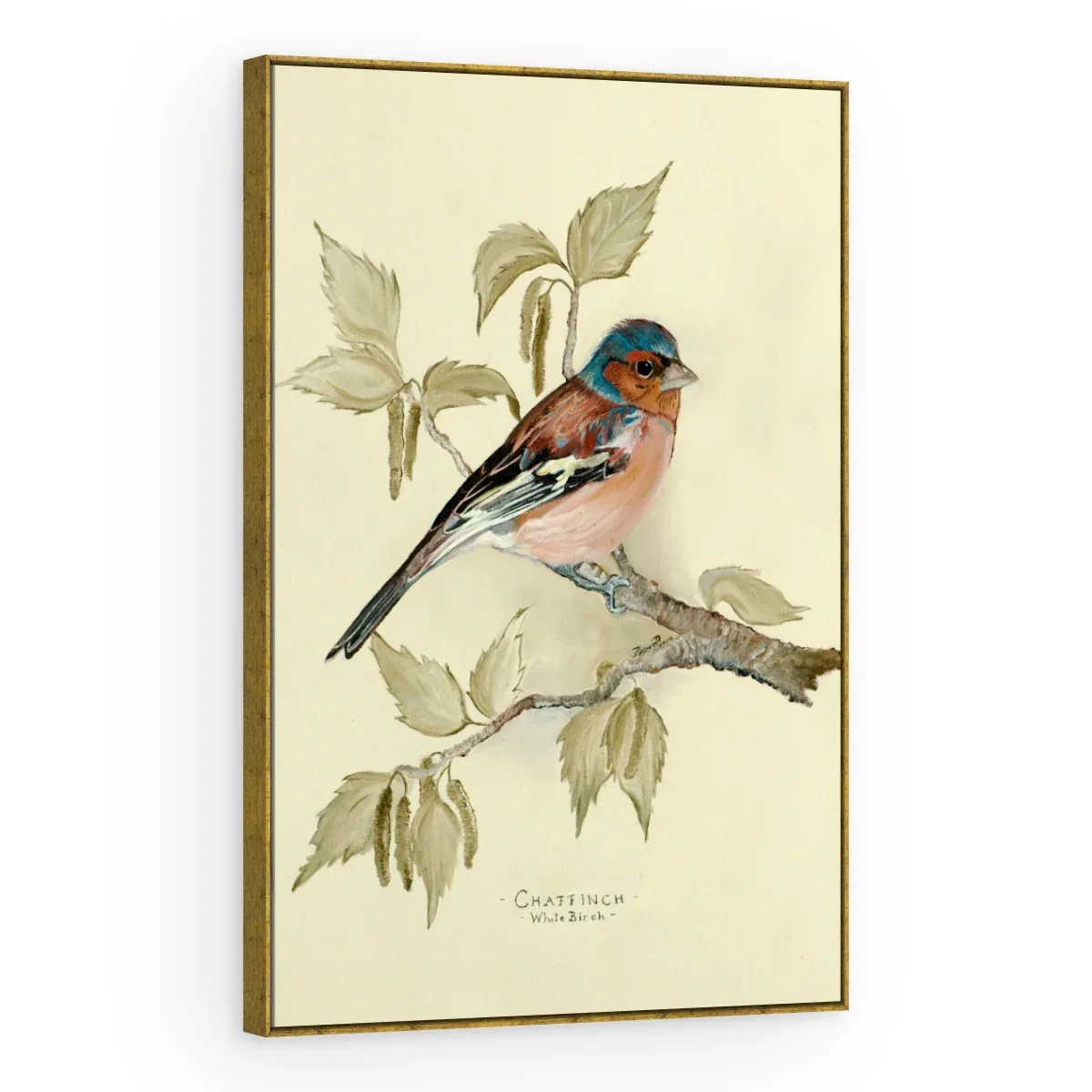Quadro Decorativo Canvas Tentilhão Clássico - AV0007