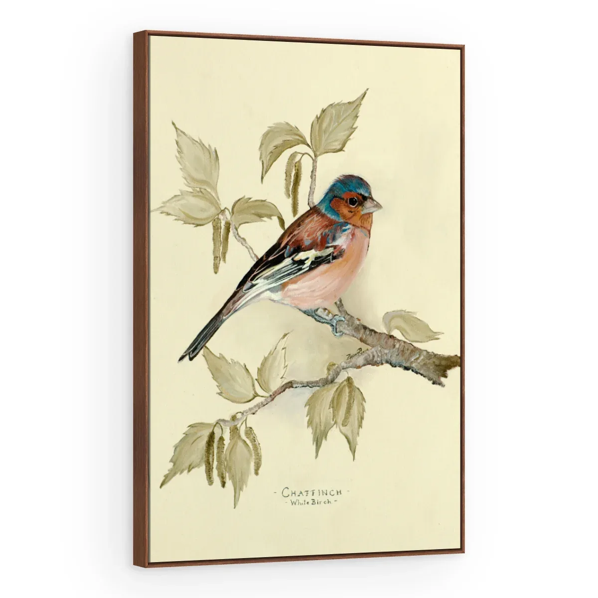 Quadro Decorativo Canvas Tentilhão Clássico - AV0007