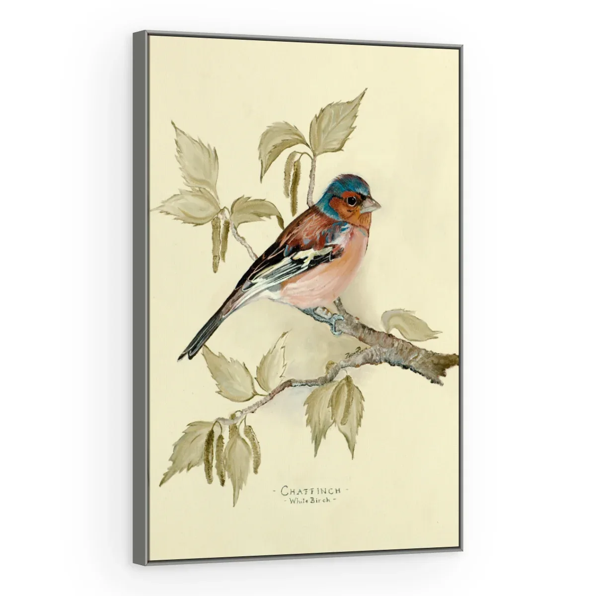 Quadro Decorativo Canvas Tentilhão Clássico - AV0007