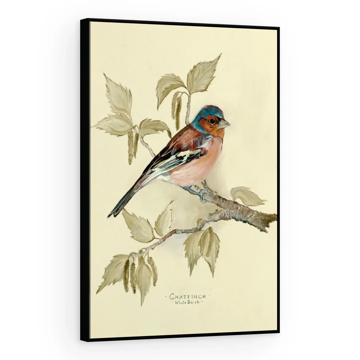 Quadro Decorativo Canvas Tentilhão Clássico - AV0007