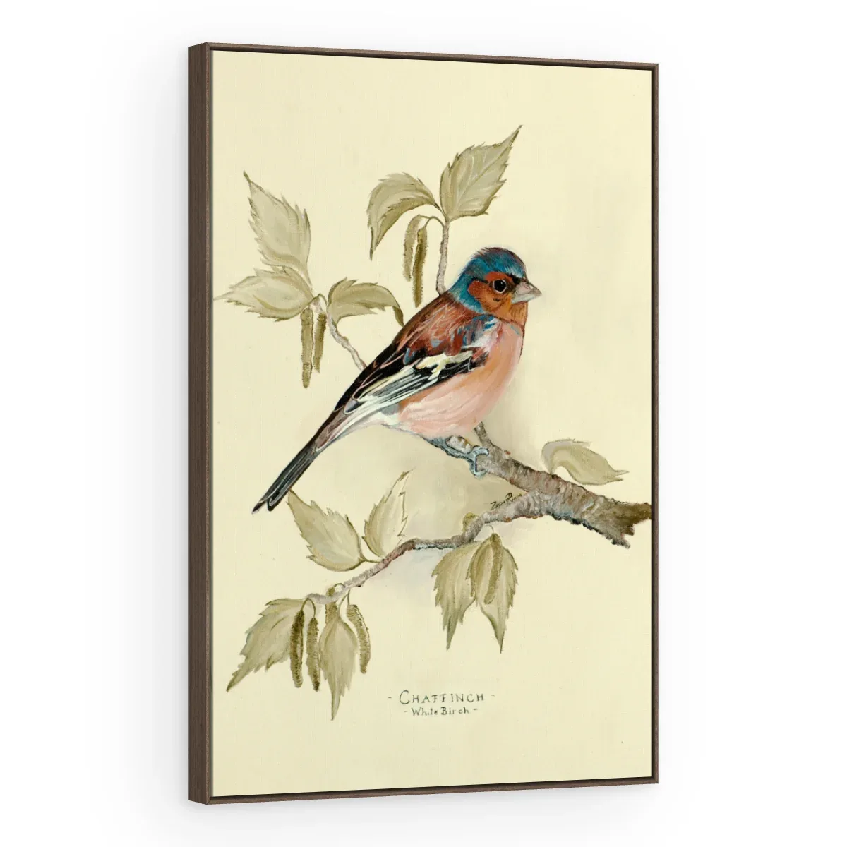 Quadro Decorativo Canvas Tentilhão Clássico - AV0007