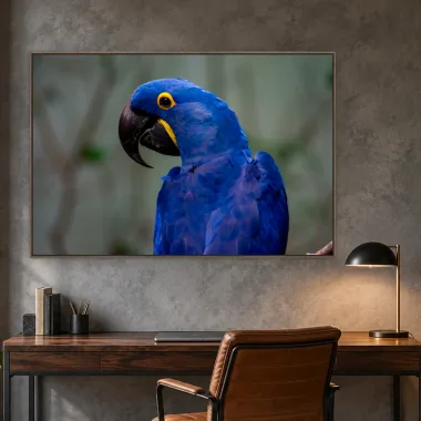Quadro Decorativo Canvas Arara Azul - AV0014
