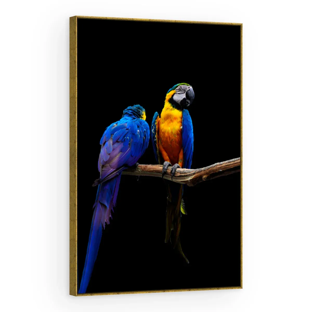 Quadro Decorativo Canvas Araras Companheiras - AV0017