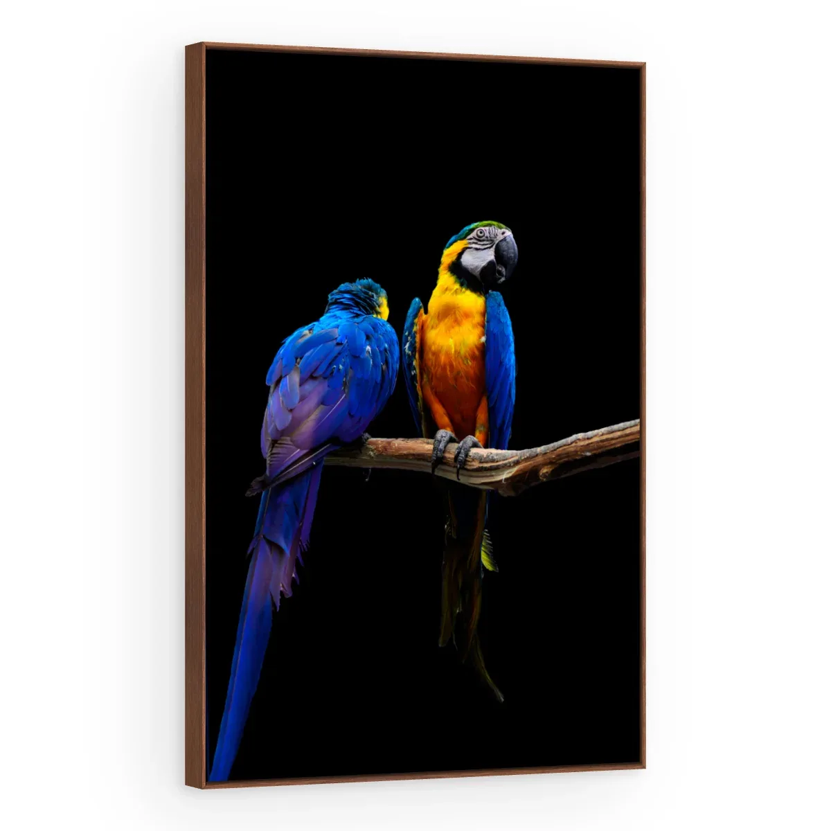 Quadro Decorativo Canvas Araras Companheiras - AV0017