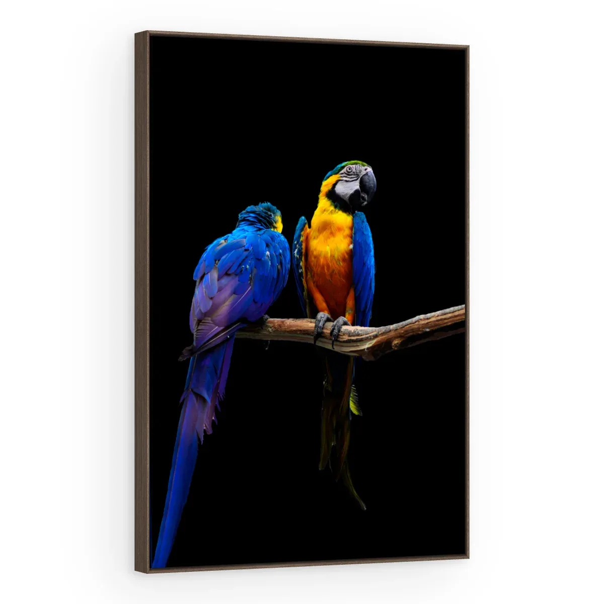 Quadro Decorativo Canvas Araras Companheiras - AV0017