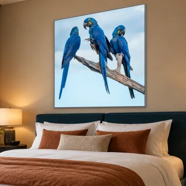 Quadro Decorativo Canvas Araras Reunidas - AV0018