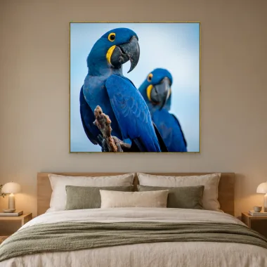 Quadro Decorativo Canvas Araras Azuis - AV0019
