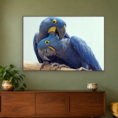 Quadro Decorativo Canvas Araras Carinhosas - AV0023