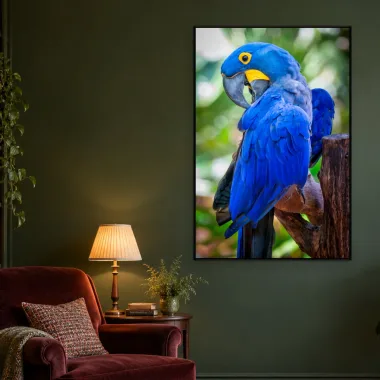 Quadro Decorativo Canvas Arara Majestosa - AV0025