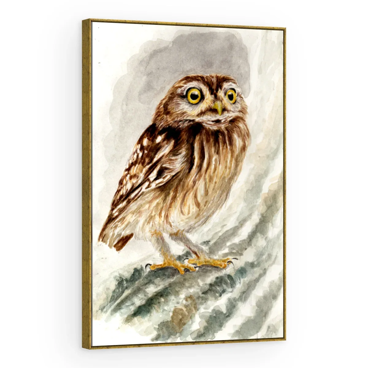 Quadro Decorativo Canvas Coruja Aquarela - AV0027