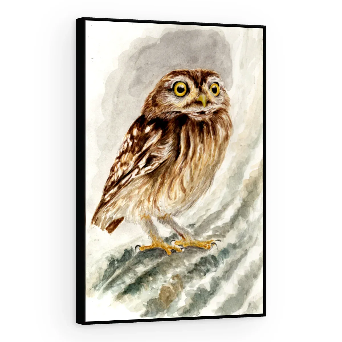 Quadro Decorativo Canvas Coruja Aquarela - AV0027