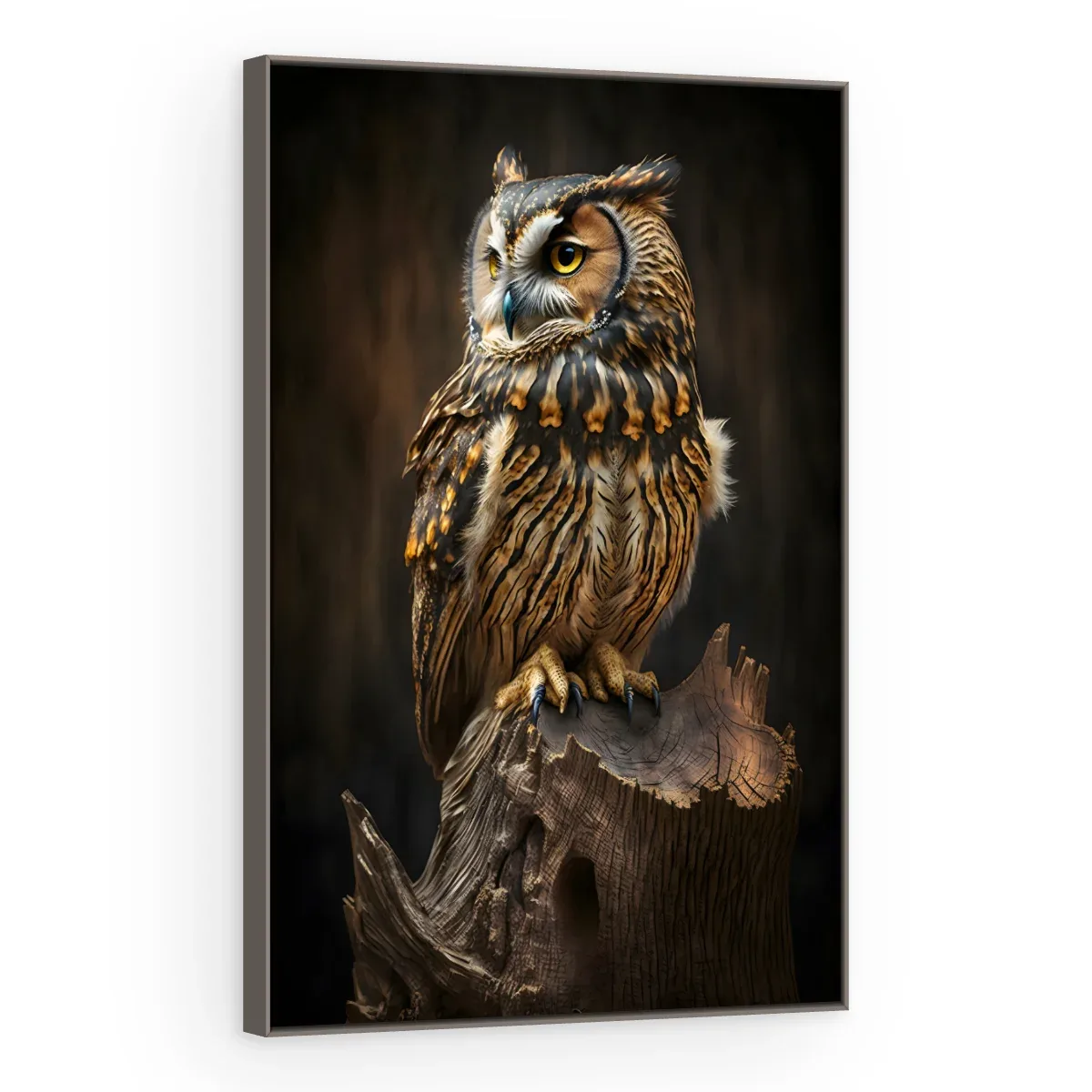 Quadro Decorativo Canvas Coruja Sábia - AV0034