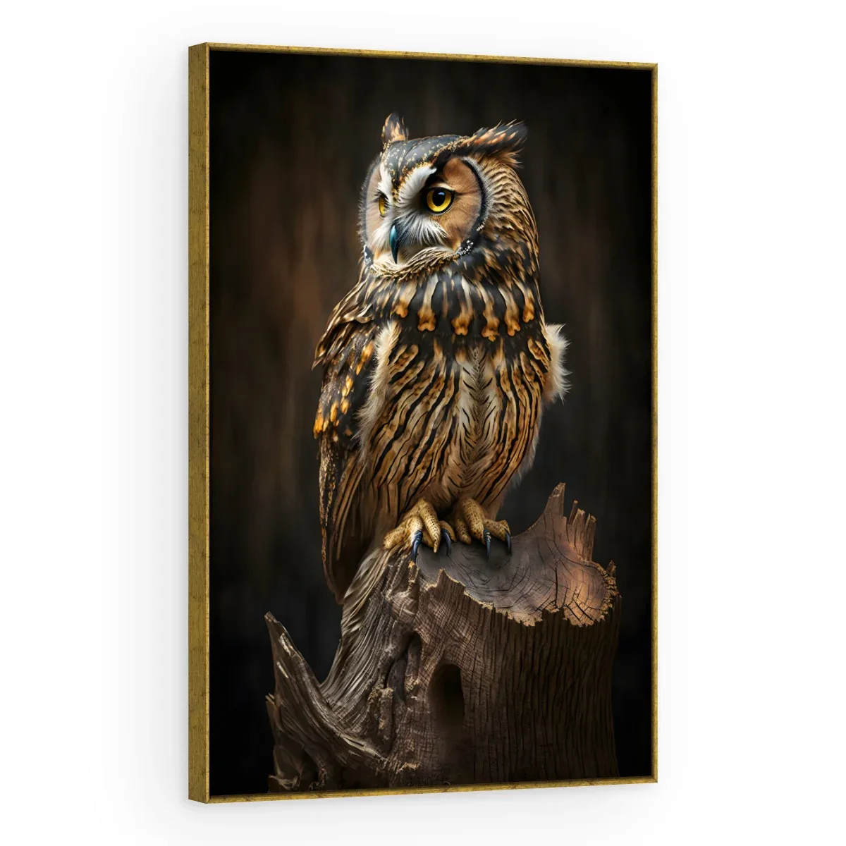 Quadro Decorativo Canvas Coruja Sábia - AV0034