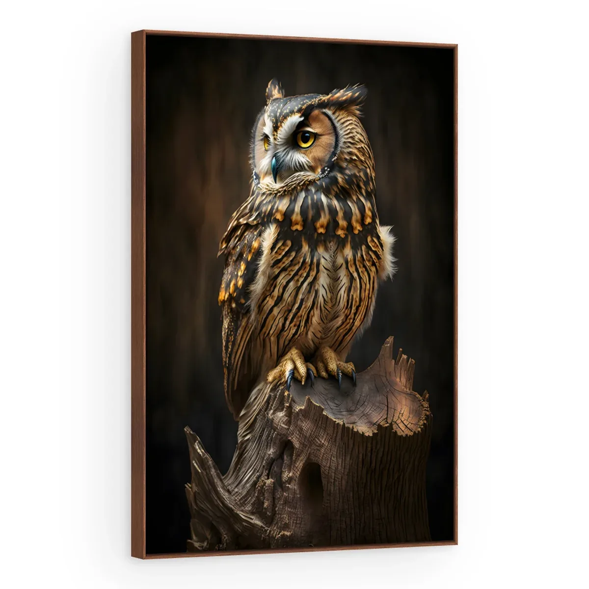 Quadro Decorativo Canvas Coruja Sábia - AV0034