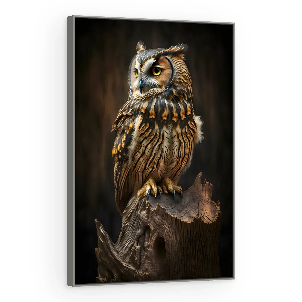 Quadro Decorativo Canvas Coruja Sábia - AV0034