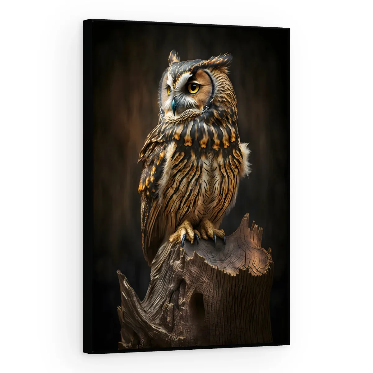Quadro Decorativo Canvas Coruja Sábia - AV0034