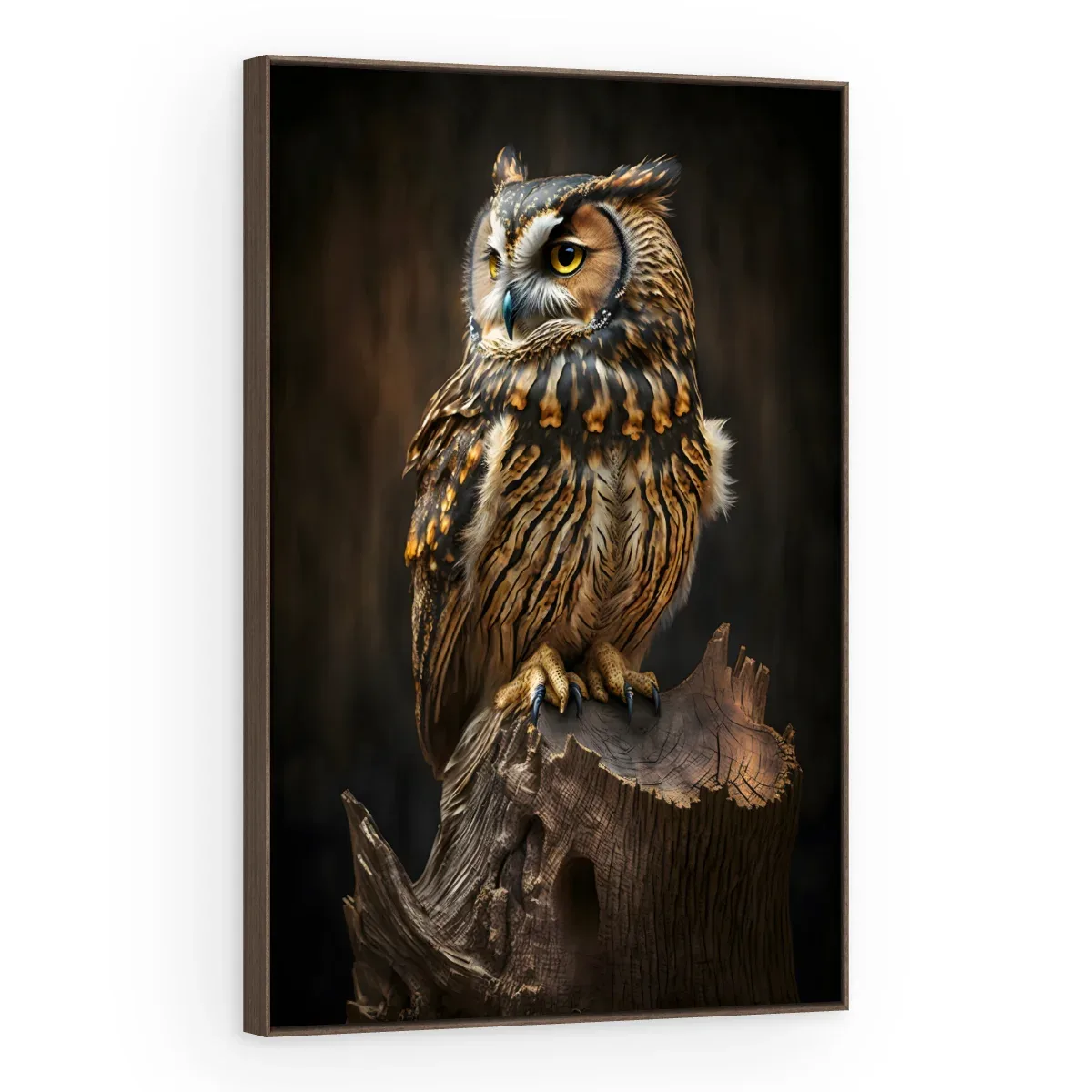 Quadro Decorativo Canvas Coruja Sábia - AV0034