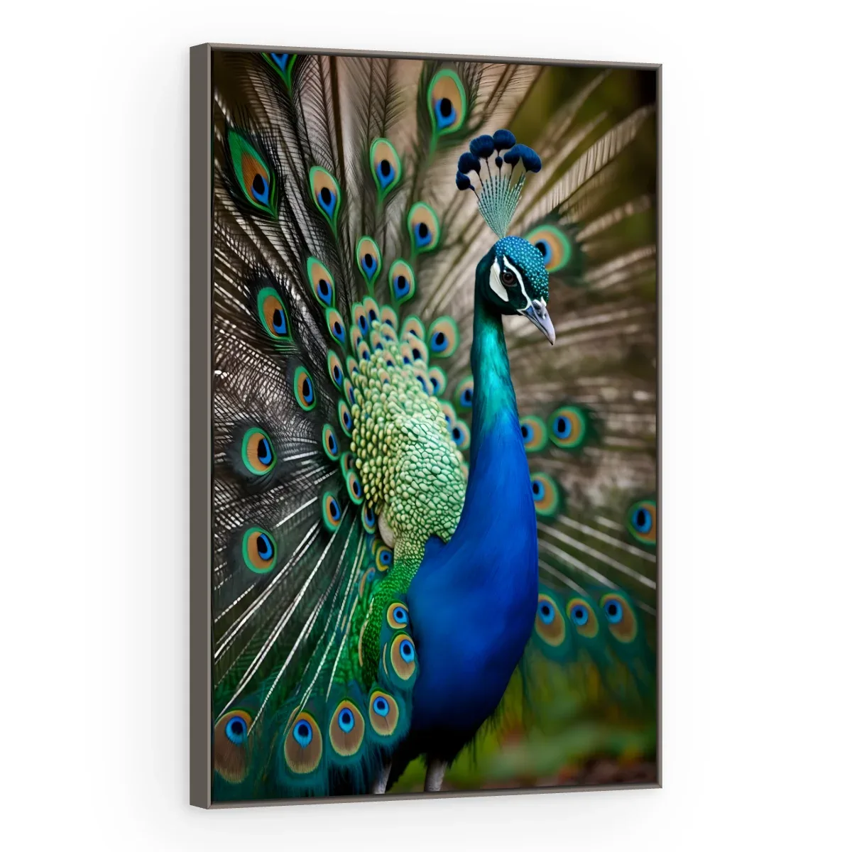 Quadro Decorativo Canvas Pavão Real - AV0036