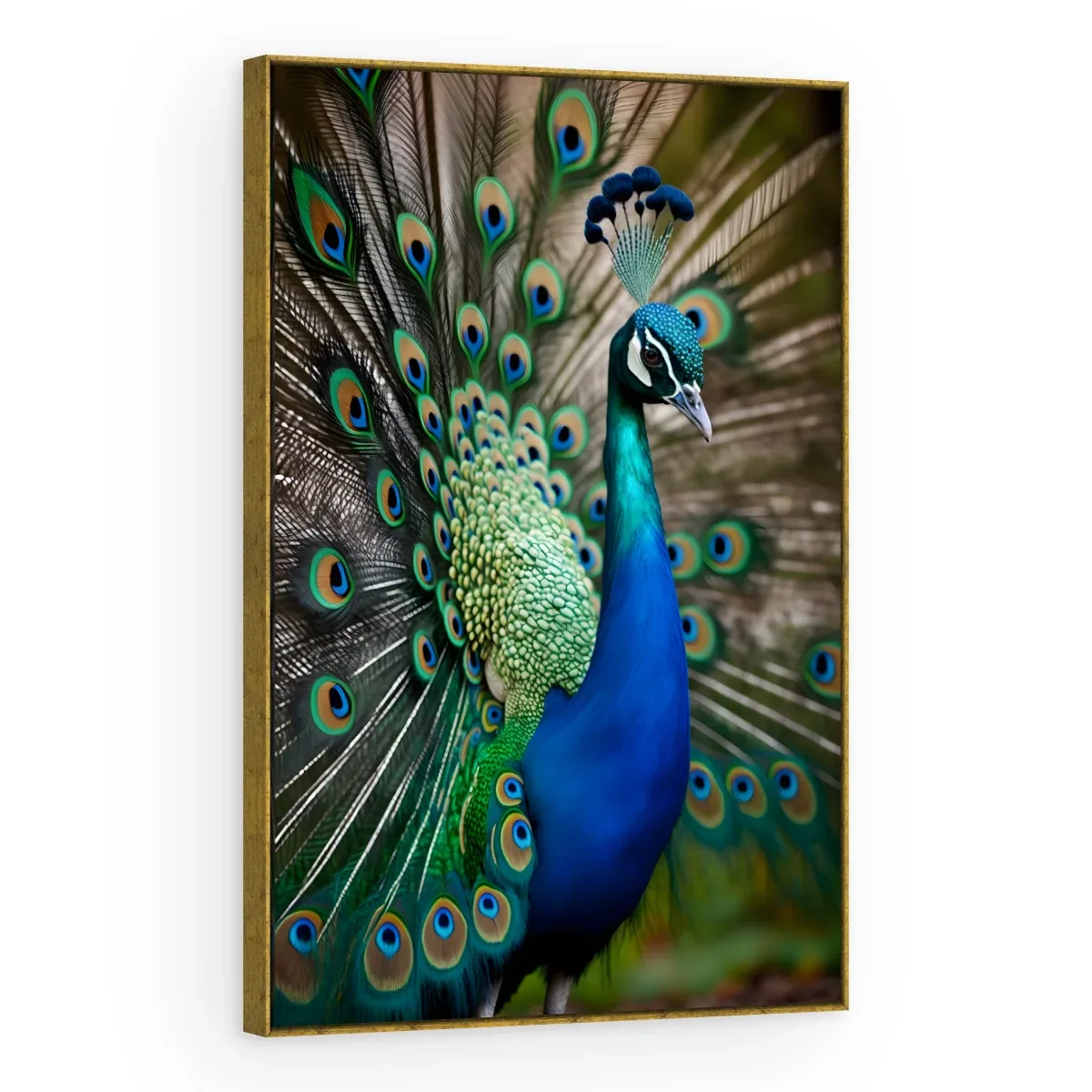 Quadro Decorativo Canvas Pavão Real - AV0036