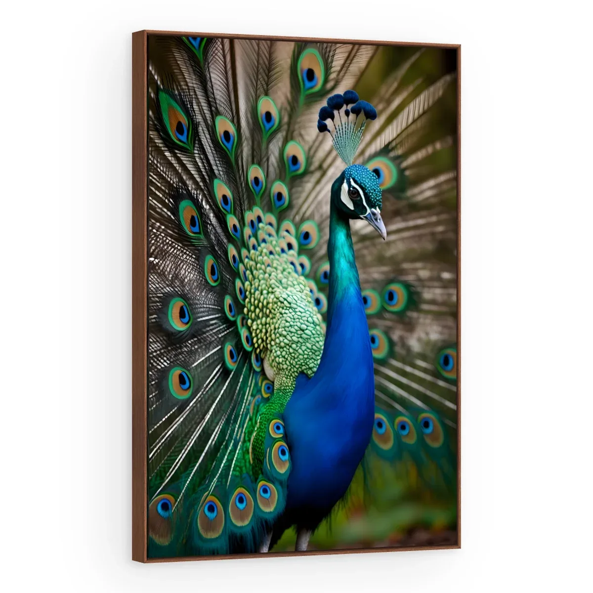 Quadro Decorativo Canvas Pavão Real - AV0036