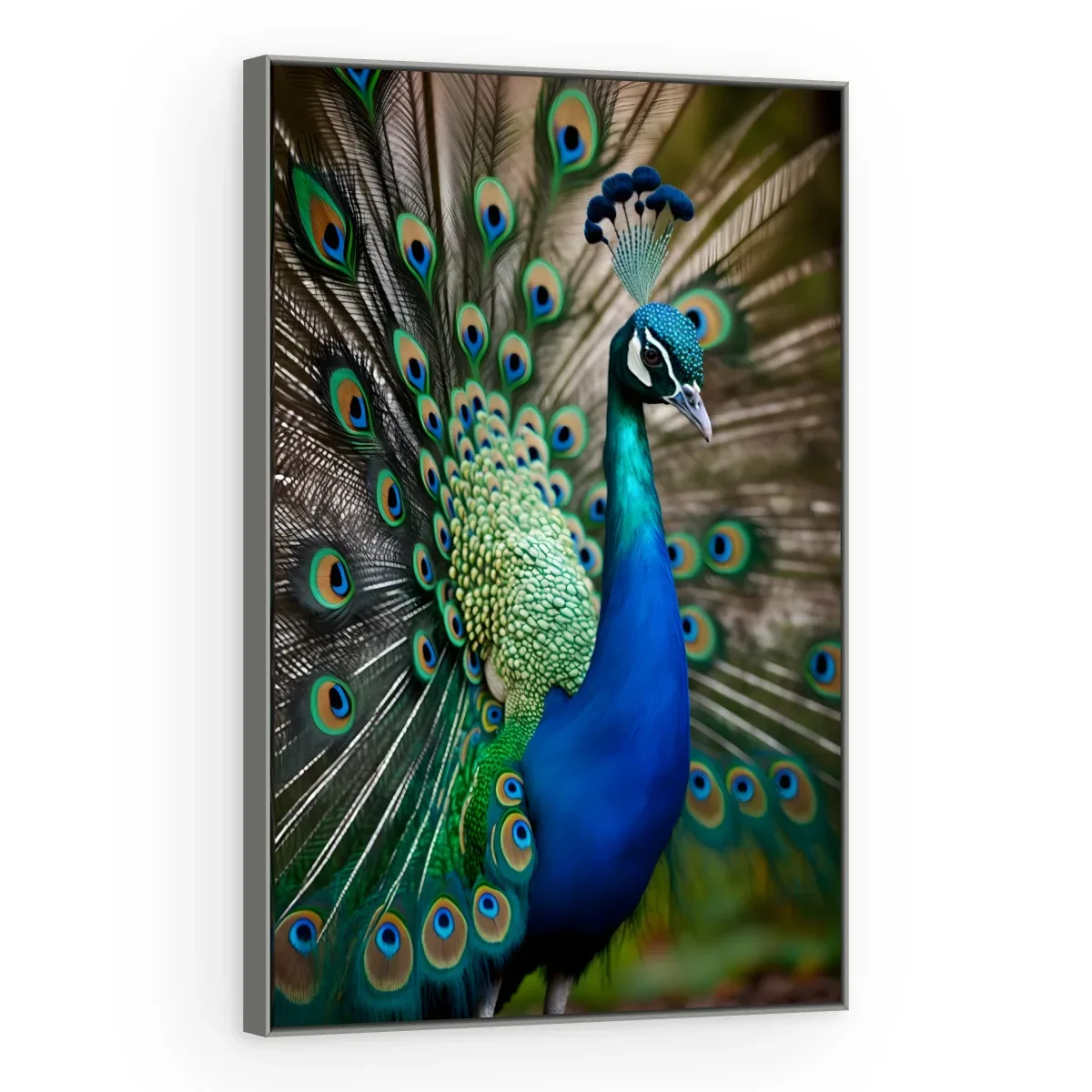 Quadro Decorativo Canvas Pavão Real - AV0036