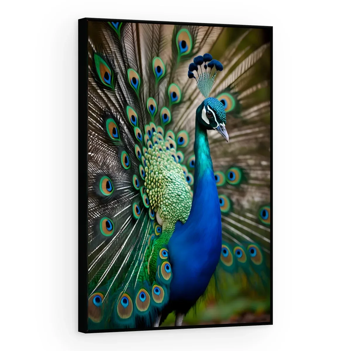 Quadro Decorativo Canvas Pavão Real - AV0036