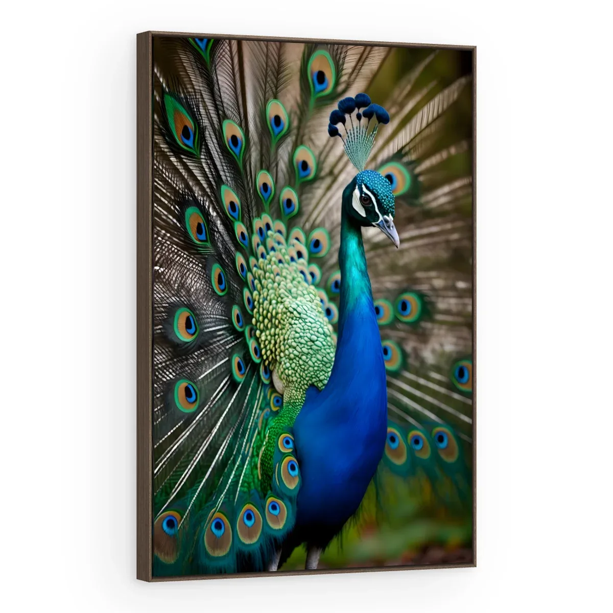 Quadro Decorativo Canvas Pavão Real - AV0036