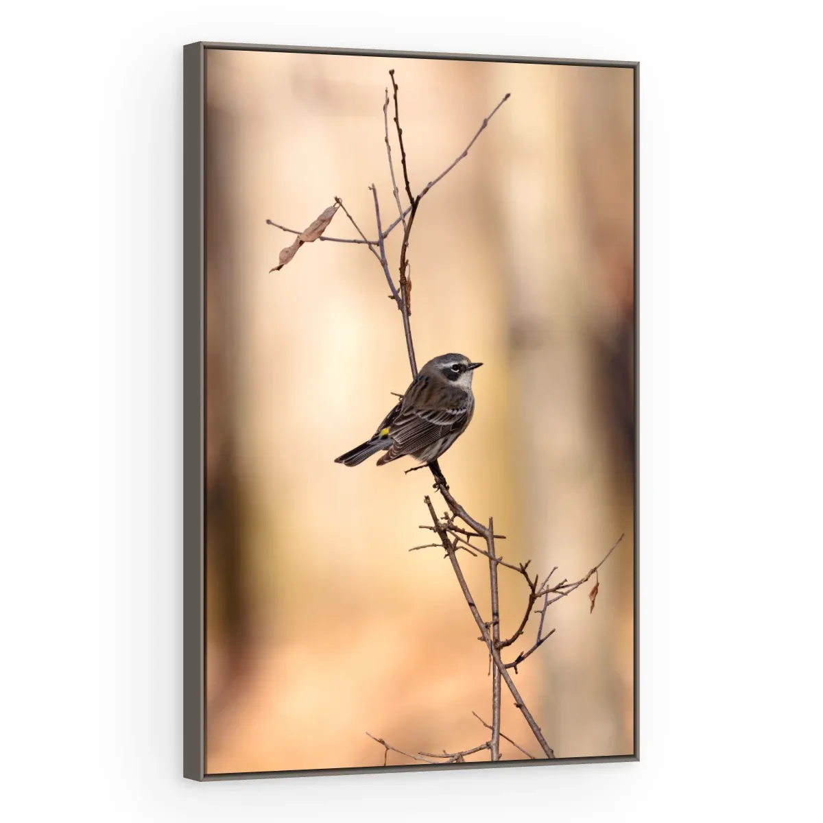 Quadro Decorativo Canvas Pássaro Solitário - AV0039