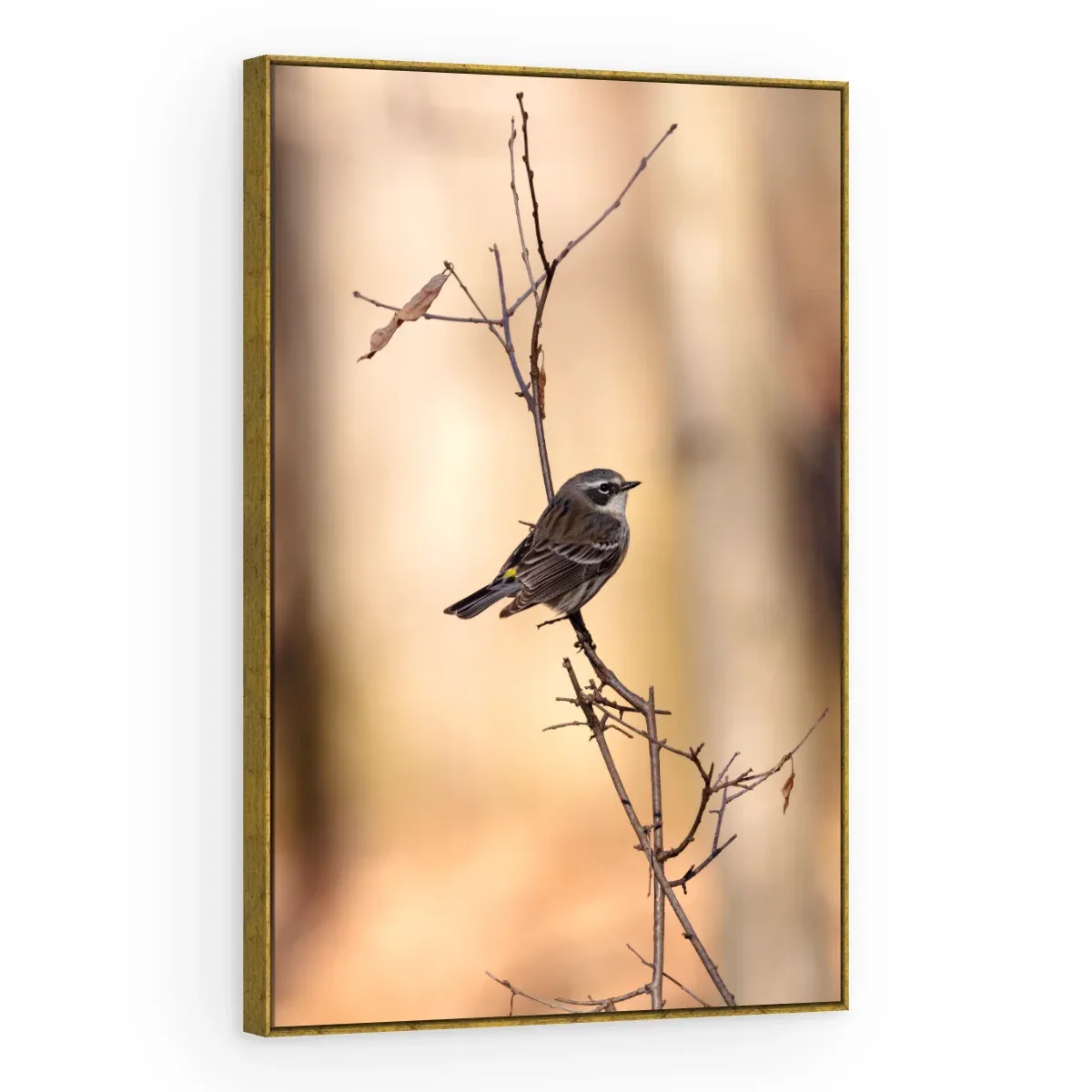 Quadro Decorativo Canvas Pássaro Solitário - AV0039