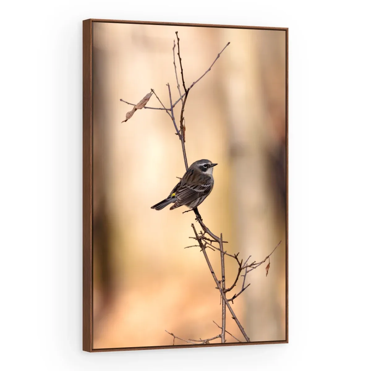 Quadro Decorativo Canvas Pássaro Solitário - AV0039