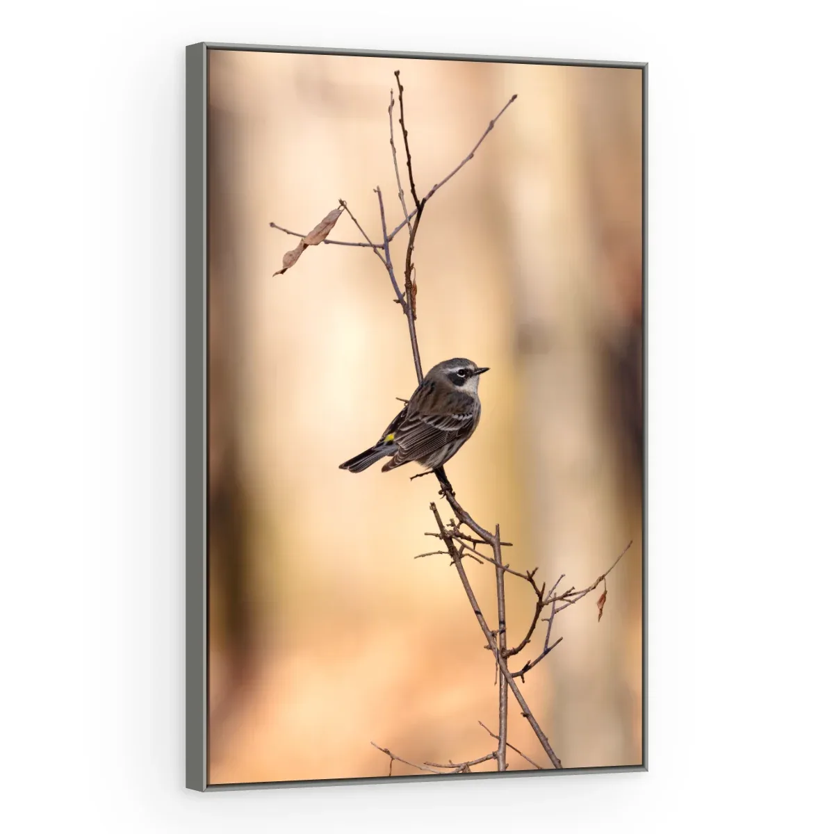 Quadro Decorativo Canvas Pássaro Solitário - AV0039
