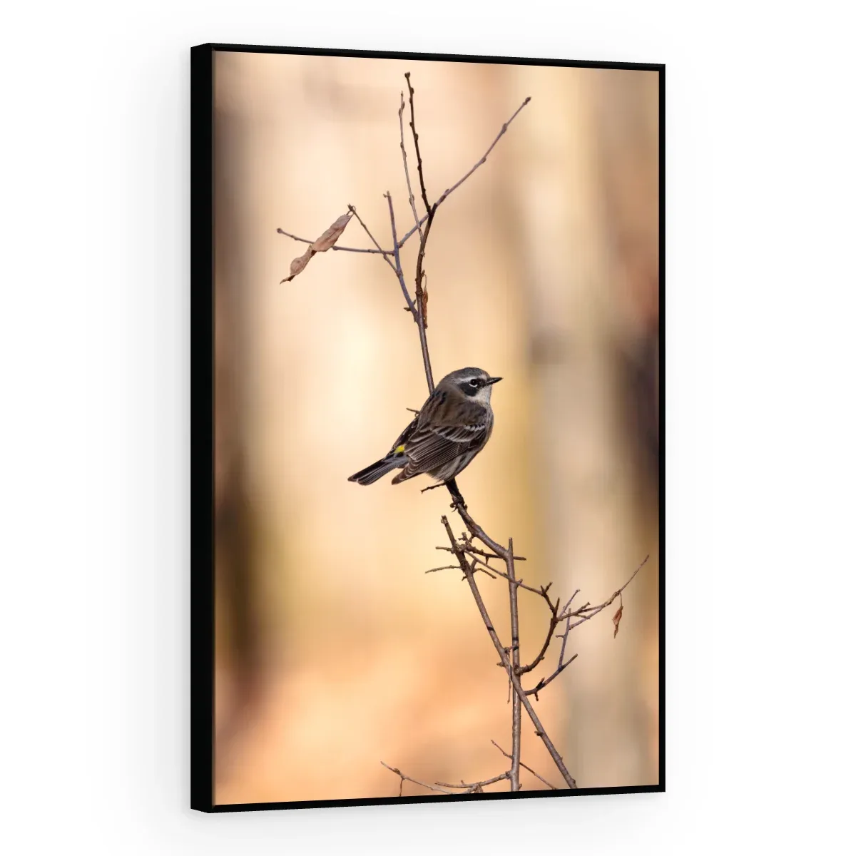 Quadro Decorativo Canvas Pássaro Solitário - AV0039