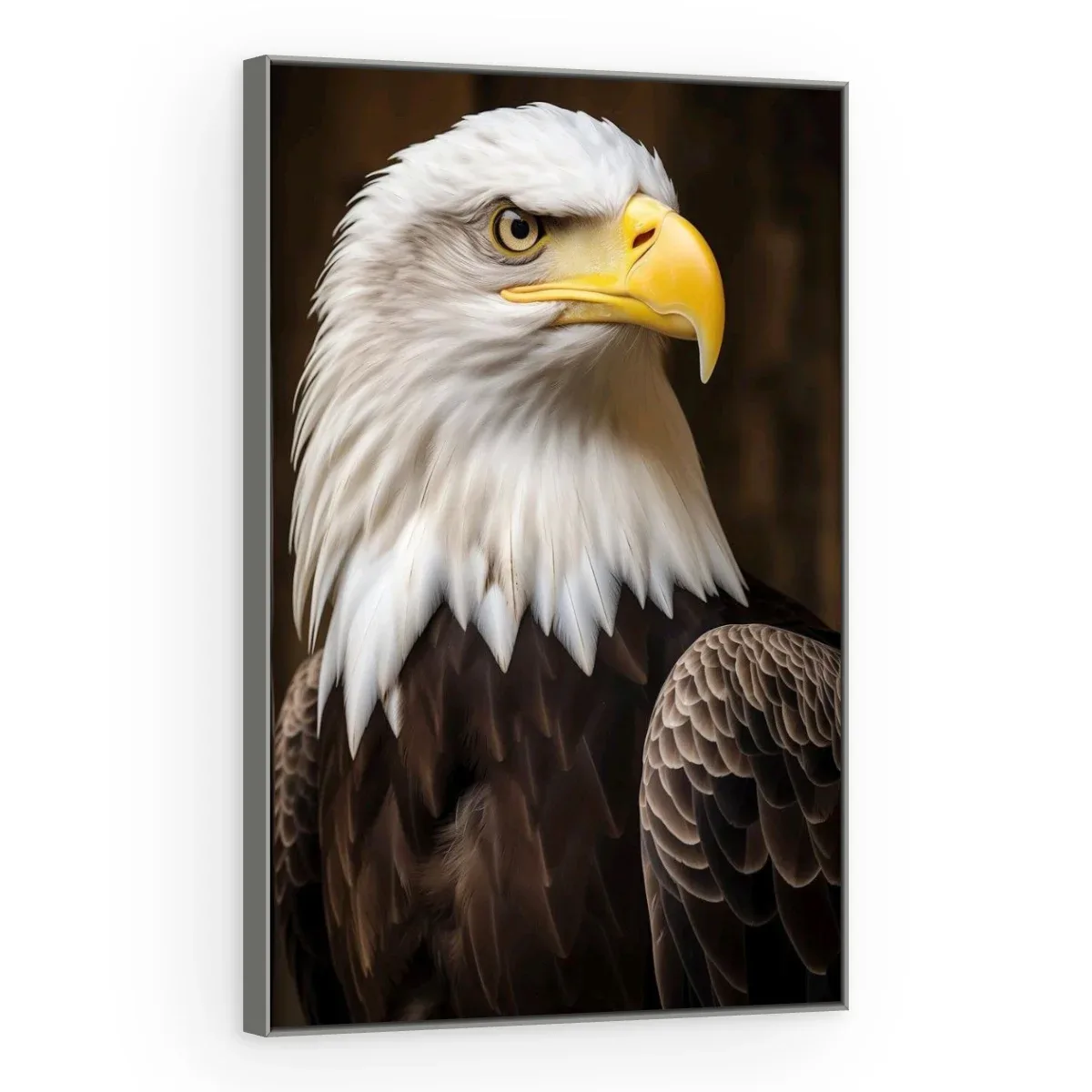 Quadro Decorativo Canvas Águia Americana - AV0041