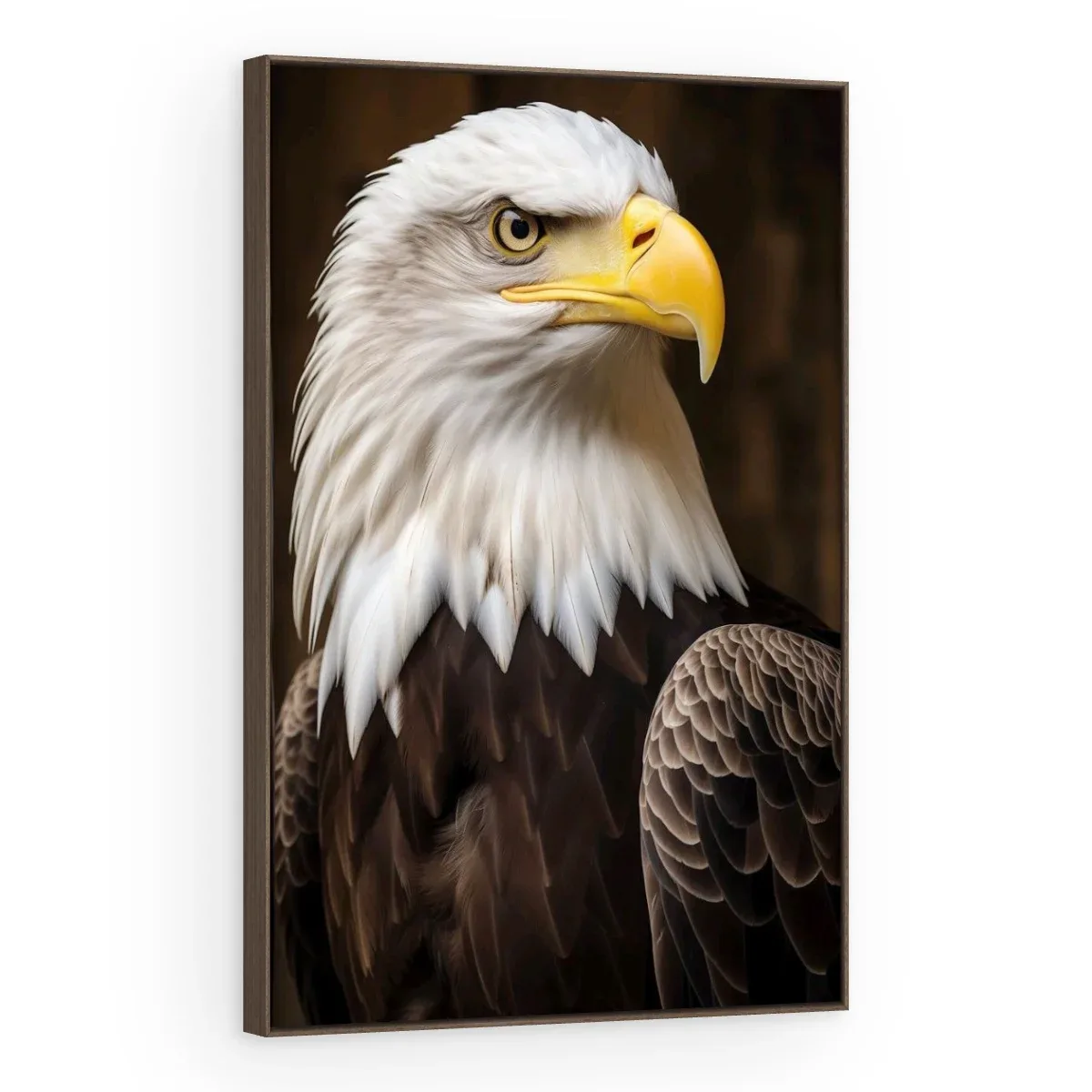 Quadro Decorativo Canvas Águia Americana - AV0041