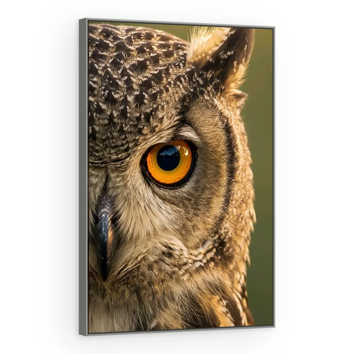 Quadro Decorativo Canvas Coruja Hipnótica - AV0047