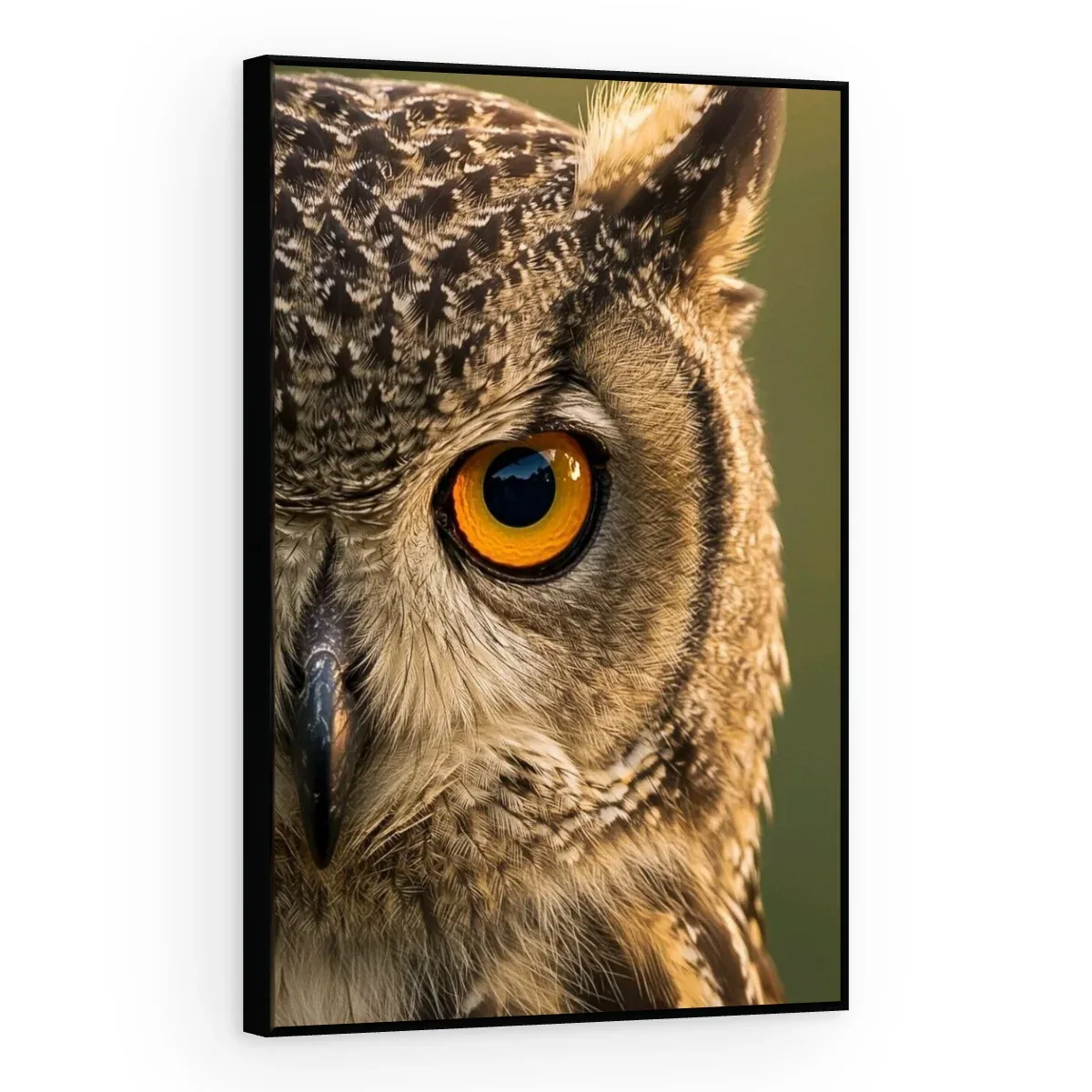 Quadro Decorativo Canvas Coruja Hipnótica - AV0047