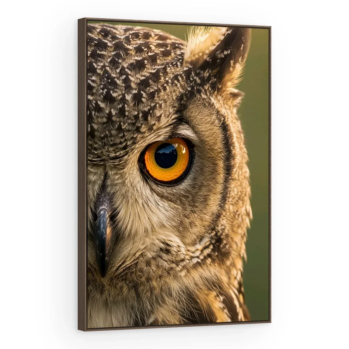 Quadro Decorativo Canvas Coruja Hipnótica - AV0047