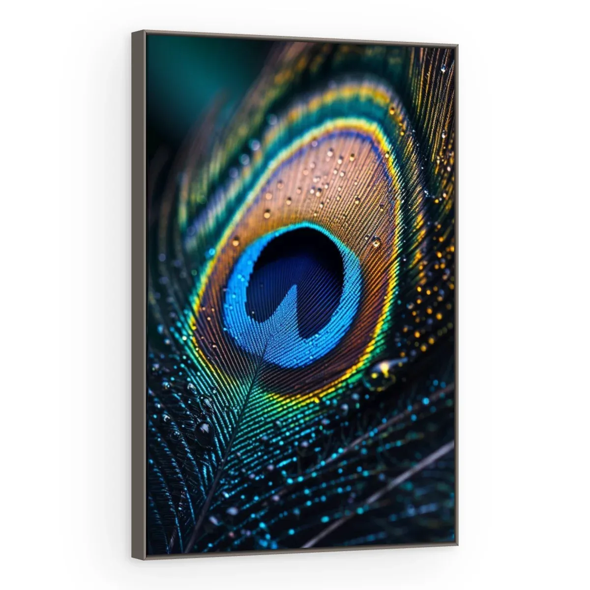 Quadro Decorativo Canvas Pluma Iridescente - AV0049