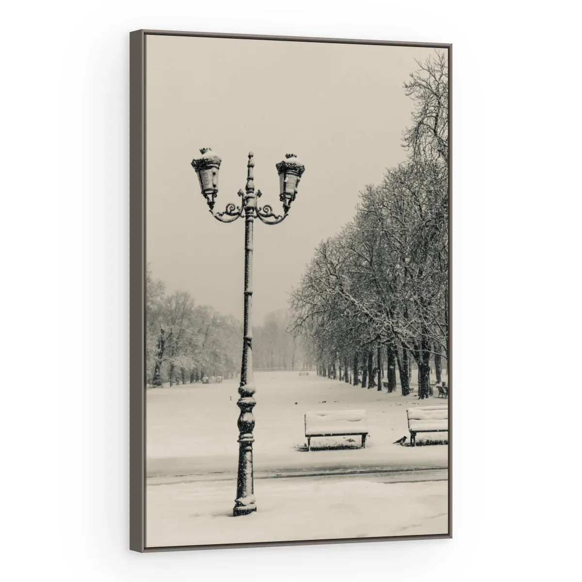 Quadro Decorativo Canvas Parque Nevado - CI0040