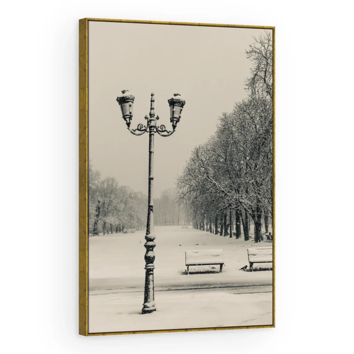 Quadro Decorativo Canvas Parque Nevado - CI0040