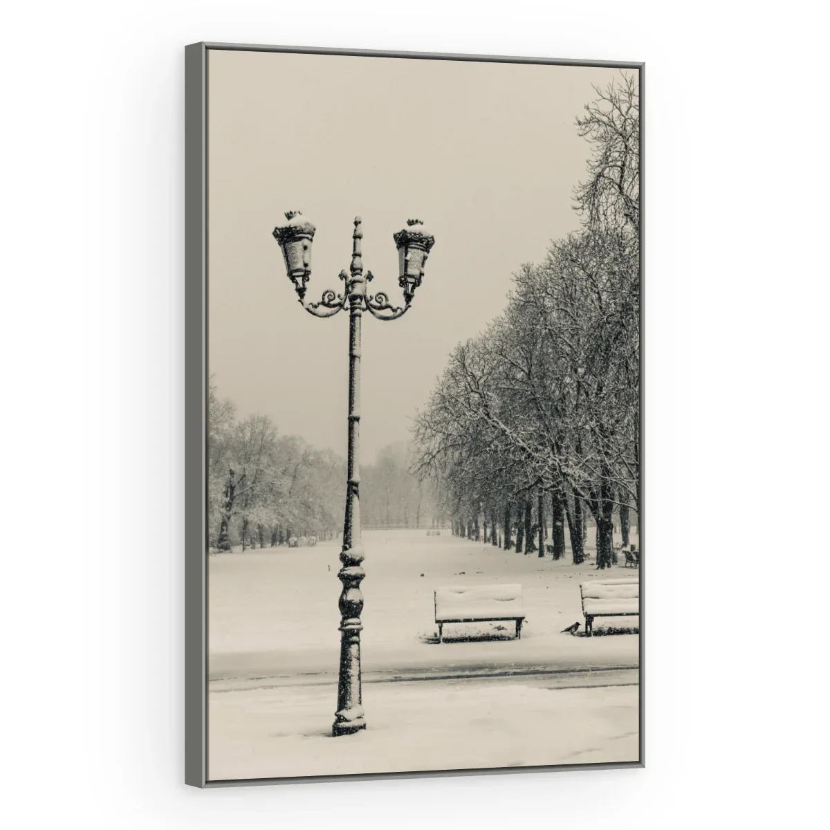 Quadro Decorativo Canvas Parque Nevado - CI0040