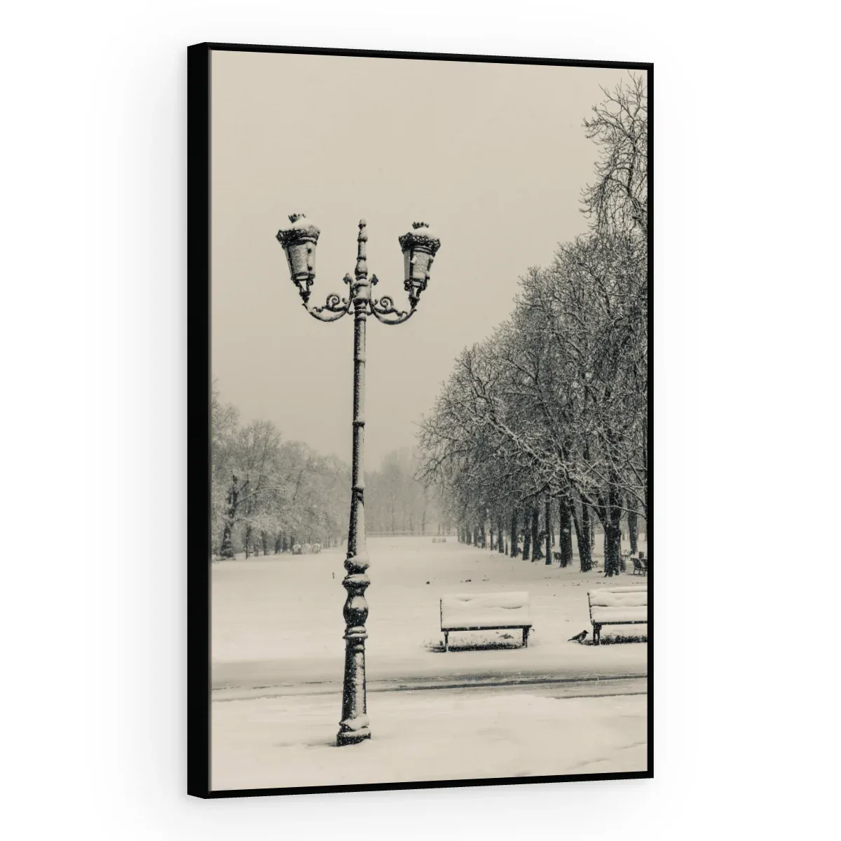 Quadro Decorativo Canvas Parque Nevado - CI0040