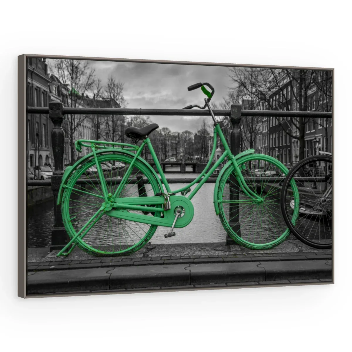 Quadro Decorativo Canvas Bicicleta Verde - CI0072