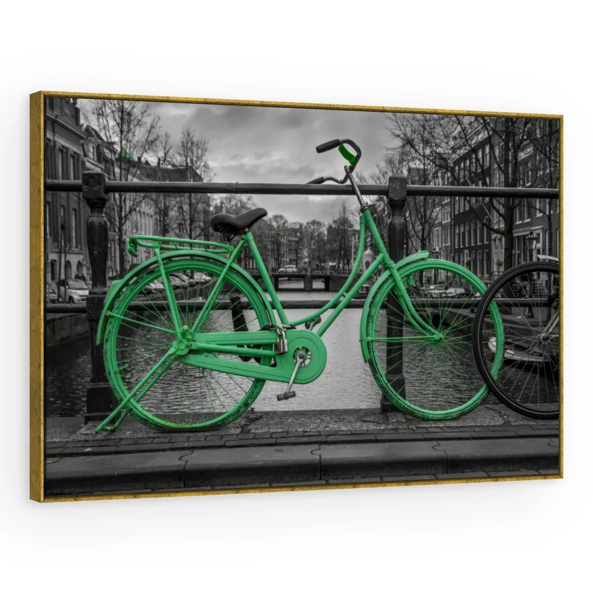 Quadro Decorativo Canvas Bicicleta Verde - CI0072