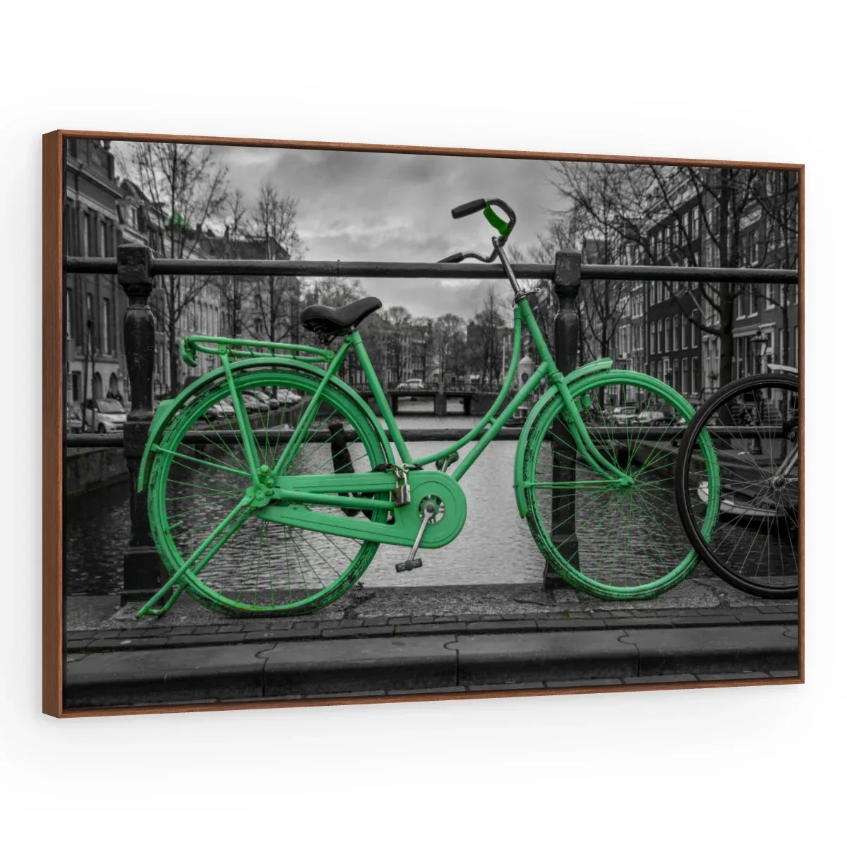 Quadro Decorativo Canvas Bicicleta Verde - CI0072